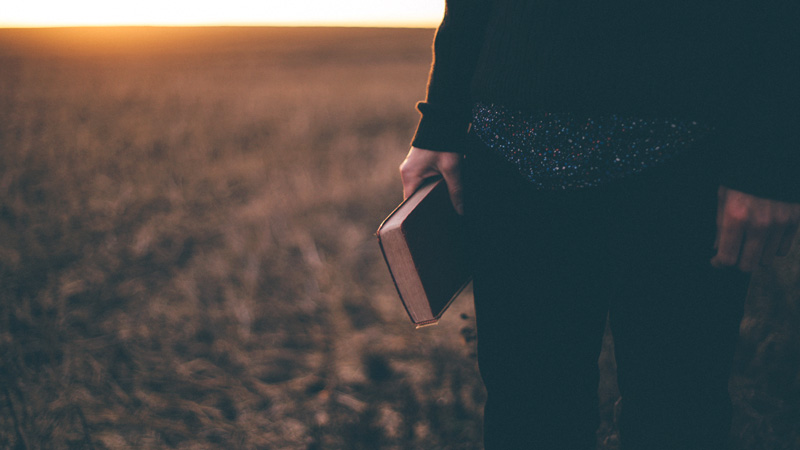 Person holding Bible standing in a field